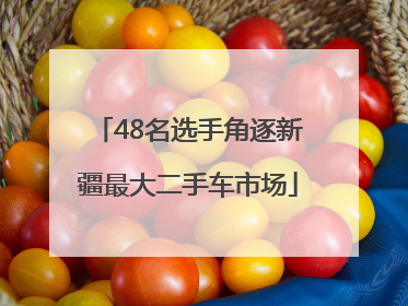 48名选手角逐新疆最大二手车市场