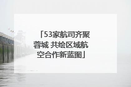 53家航司齐聚蓉城 共绘区域航空合作新蓝图