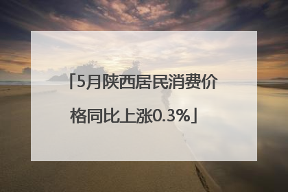 5月陕西居民消费价格同比上涨0.3%