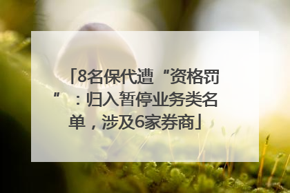 8名保代遭“资格罚”：归入暂停业务类名单，涉及6家券商
