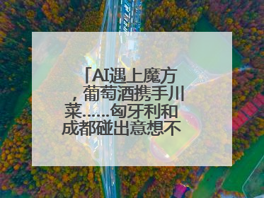 AI遇上魔方，葡萄酒携手川菜……匈牙利和成都碰出意想不到的合作机会
