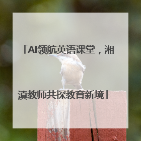 AI领航英语课堂，湘滇教师共探教育新境