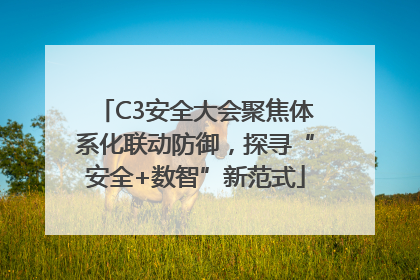 C3安全大会聚焦体系化联动防御，探寻“安全+数智”新范式